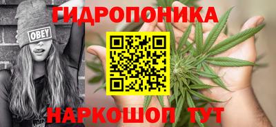 Альфа ПВП Шахты