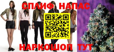 тгк Шебекино