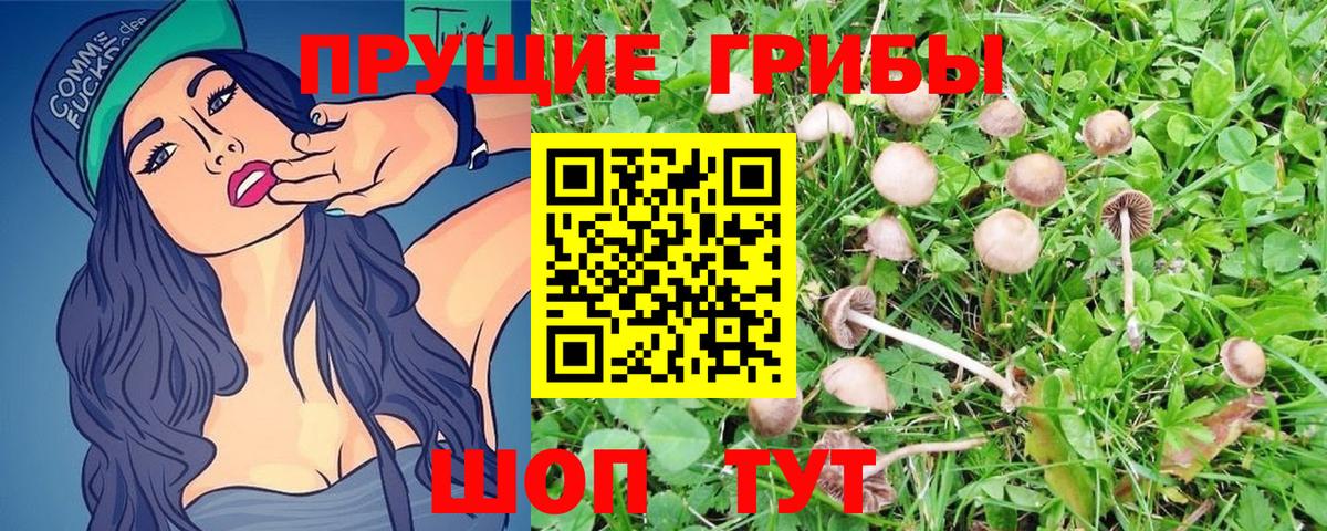 A-PVP СОЛЬ   Cocaine  Белгород  Меф   Гашиш  Экстази  Канабис  Вход с VPN 