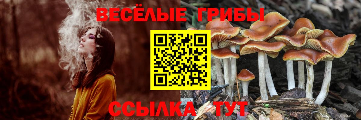Псилоцибиновые грибы GOLDEN TEACHER  Вход с VPN  Белгород 